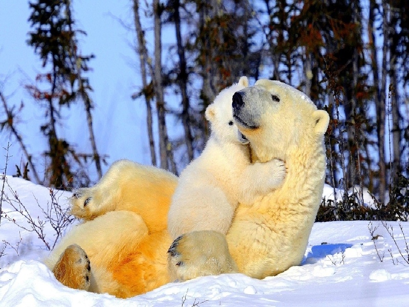 试管供卵第三代试管婴儿,不孕不育b超检查费用